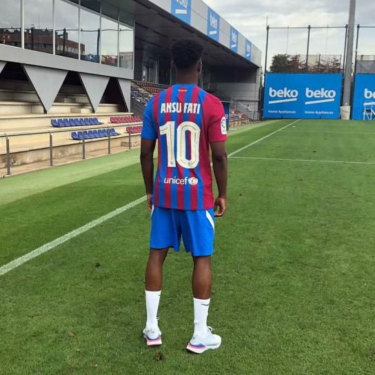怡红院视频在线观看最新