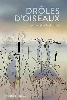 eeuss电影天堂