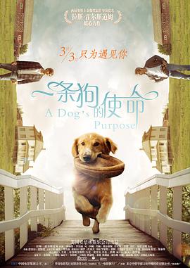 台湾福利片
