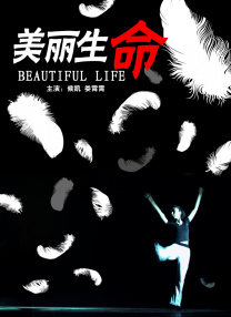 精品欧美一区二区三区免费观看