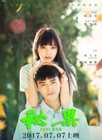 落花网限制