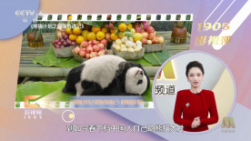 青青国产成人久久91